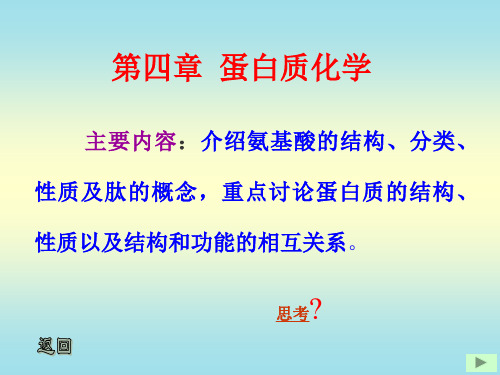 生物化学:第四章 蛋白质