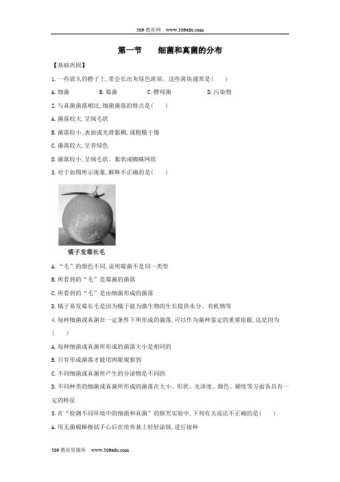 八年级生物上册5.4.1《细菌和真菌的分布》同步练习3(新版)新人教版