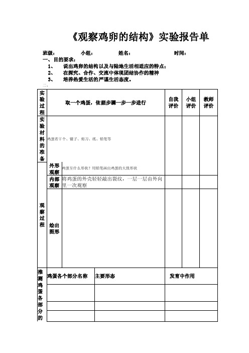 观察鸡卵的结构实验报告单