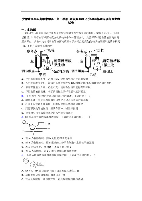 安徽萧县实验高级中学高一第一学期 期末多选题 不定项选择题专项考试生物试卷