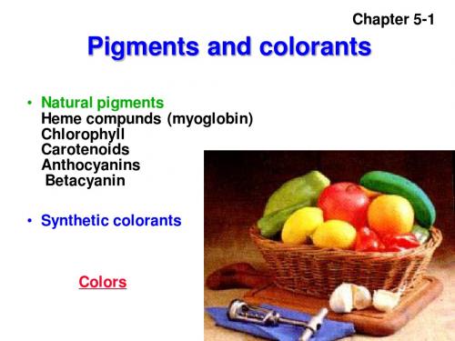 5 pigments and colorants print