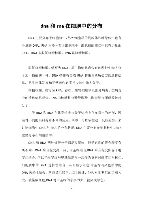 dna和rna在细胞中的分布