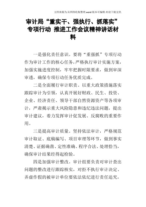 审计局“重实干、强执行、抓落实”专项行动推进工作会议精神讲话材料