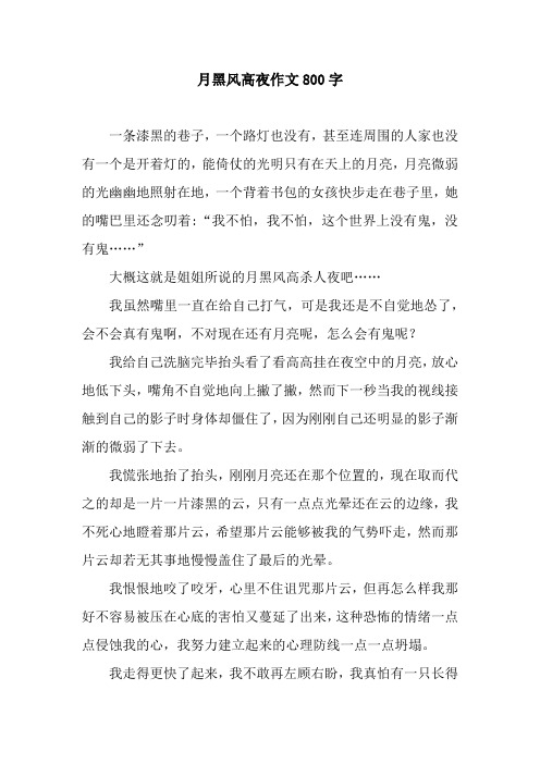 月黑风高夜作文800字