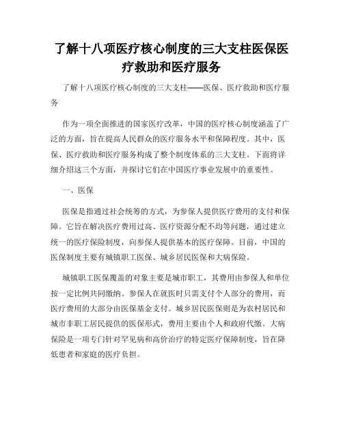 了解十八项医疗核心制度的三大支柱医保医疗救助和医疗服务