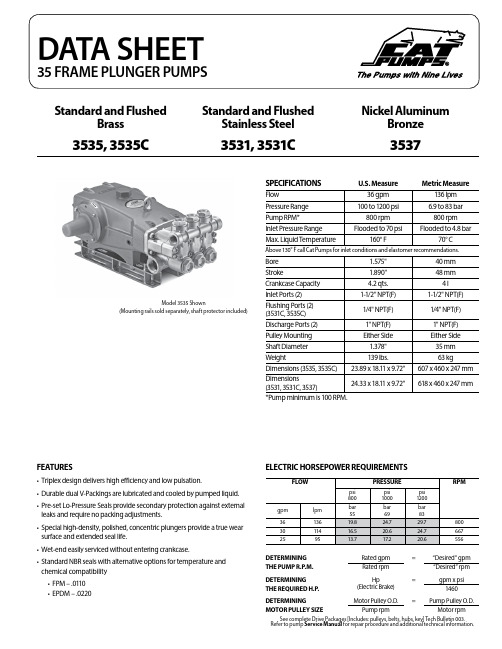 Cat Pumps 3531 3535 Series说明书