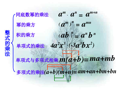 整式乘法复习课件