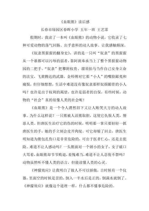 血眼熊读后感