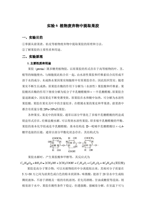 实验6 植物废弃物中提取果胶