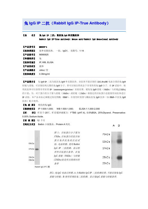 二抗鼠抗兔IgG单克隆抗体