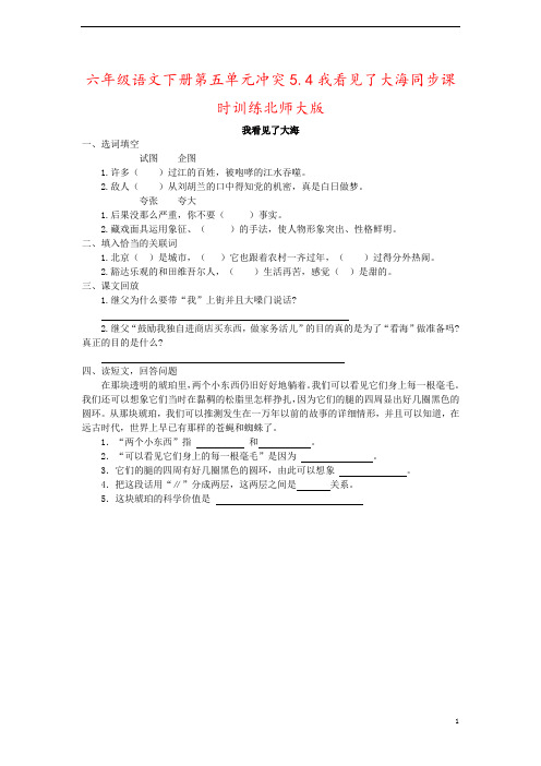 六年级语文下册第五单元冲突5.4我看见了大海同步课时训练北师大版