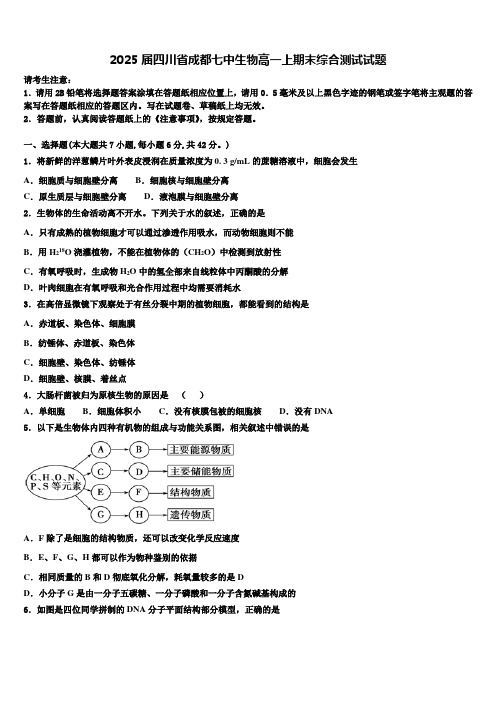 2025届四川省成都七中生物高一上期末综合测试试题含解析