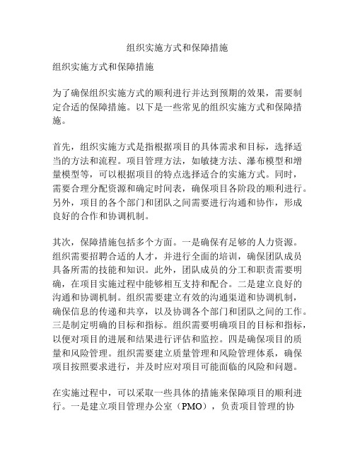 组织实施方式和保障措施