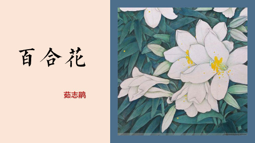 3.1《百合花》课件(共34张PPT)  2024-2025学年统编版高中语文必修上册.ppt