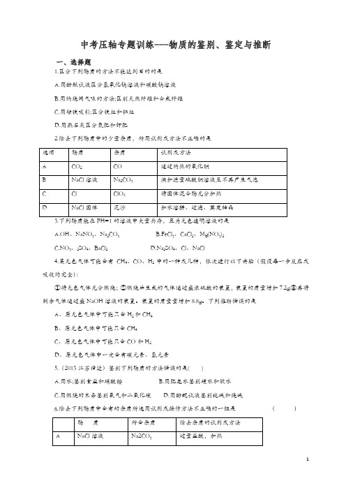 新人教版中考化学专题训练：物质的鉴别、鉴定与推断(含详解).doc