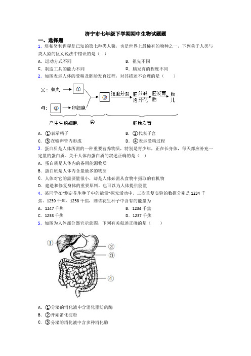 济宁市七年级下学期期中生物试题题