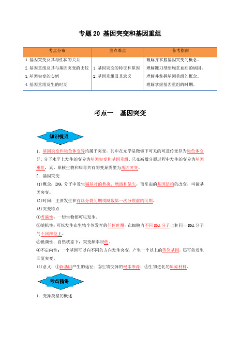 专题20 基因突变和基因重组(串讲)(解析版)