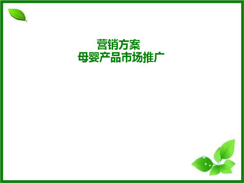 母婴系列产品详细策划方案.ppt