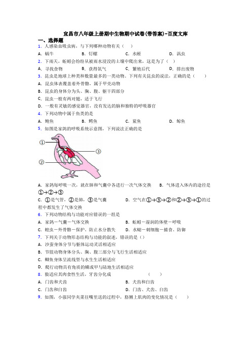 宜昌市八年级上册期中生物期中试卷(带答案)-百度文库