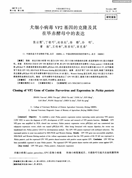 犬细小病毒VP2基因的克隆及其在毕赤酵母中的表达