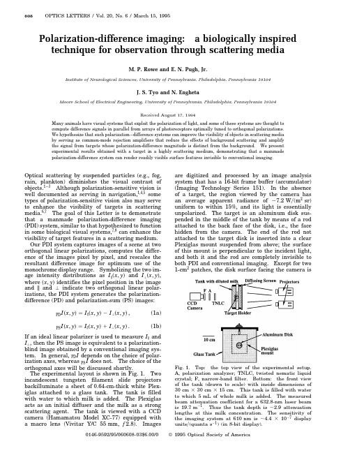 Polarization-difference imaging a biologically inspired technique for observation through scattering