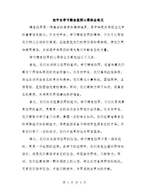 初中生学习精忠报国心得体会范文（三篇）