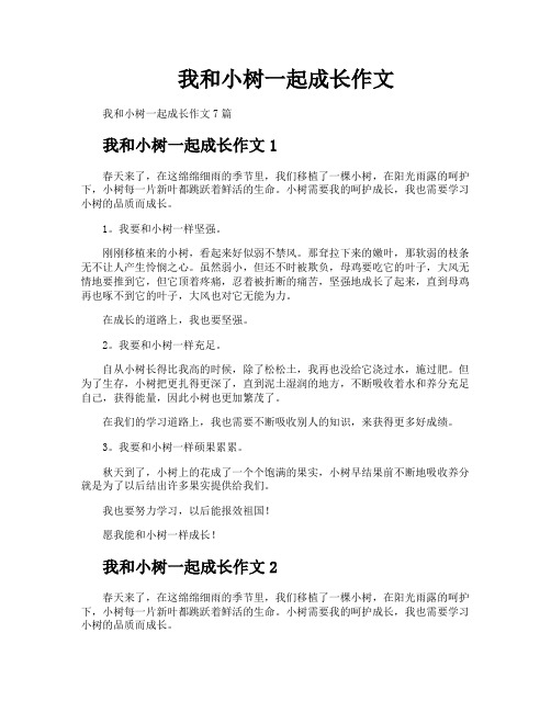 我和小树一起成长作文