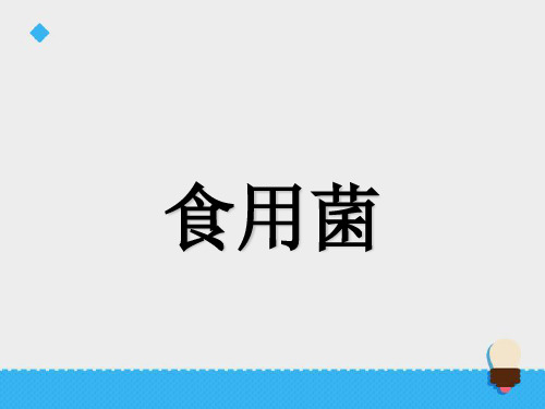 六年级上册科学课件第一单元 食用菌∣青岛版(六年制,三起) (共13张PPT)