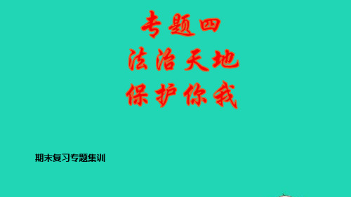 七年级道德与法治下册期末专题复习集训四法治天地保护你我pptx课件人教部编版