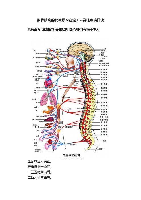 摸骨诊病的秘密原来在这！--脊柱疾病口诀