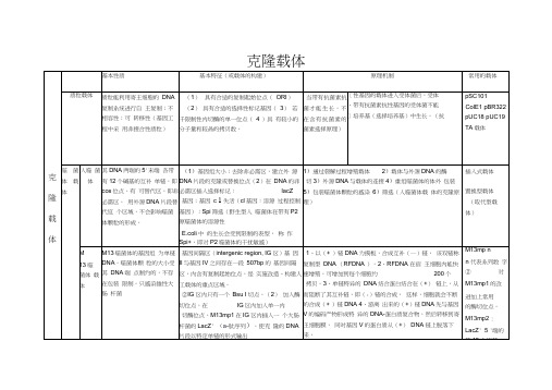 克隆载体与表达载体