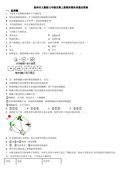 徐州市人教版七年级生物上册期末期末试卷及答案