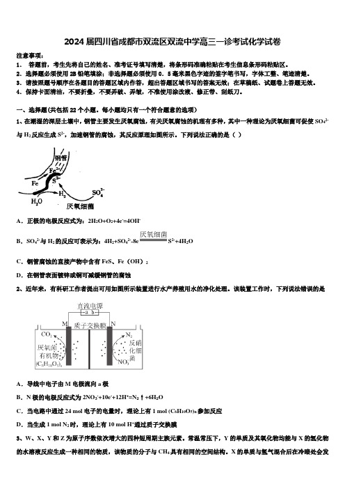 2024届四川省成都市双流区双流中学高三一诊考试化学试卷含解析