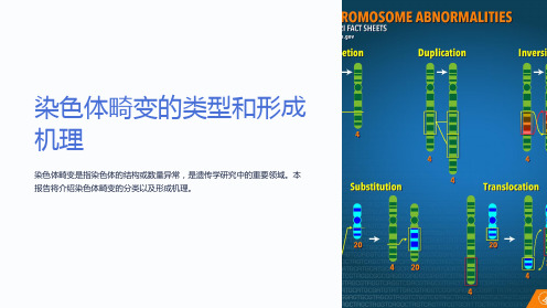 染色体畸变的类型和形成机理打印