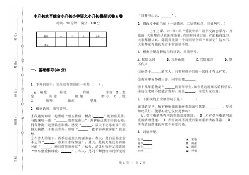 小升初水平综合小升初小学语文小升初模拟试卷A卷