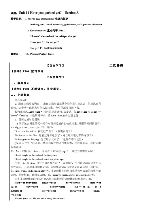 人教新目标英语九年级全一册Unit14Haveyoupackedyet教案5