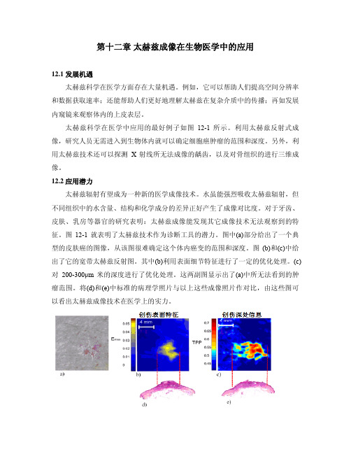 第十二章 太赫兹成像在生物医学中的应用