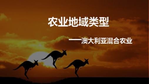 2019-2020年鲁教版必修二3.1农业地域类型——混合农业(共30张PPT)