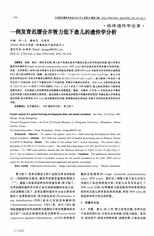 一例发育迟缓合并智力低下患儿的遗传学分析解析