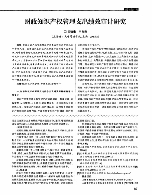 财政知识产权管理支出绩效审计研究