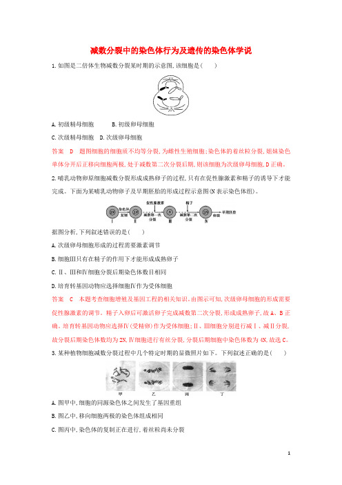 (浙江选考)2020版高考生物一轮复习第13讲减数分裂中的染色体行为及遗传的染色体学说教师备用题库(含解析