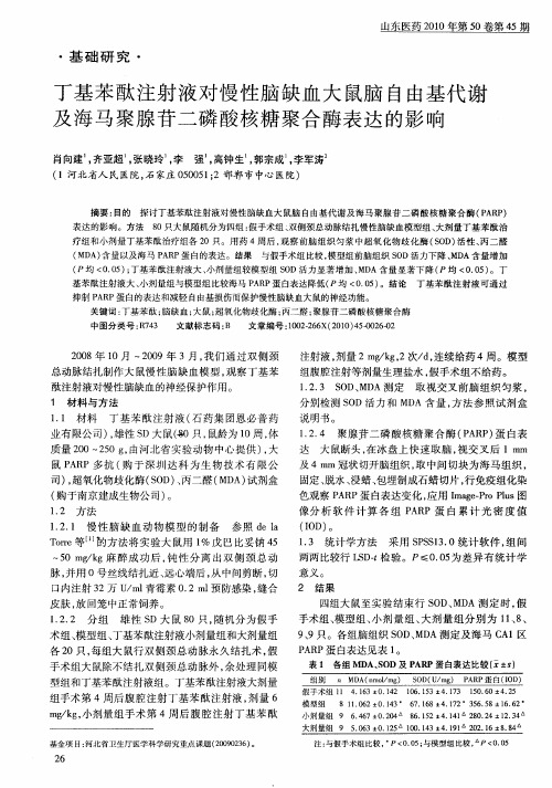 丁基苯酞注射液对慢性脑缺血大鼠脑自由基代谢及海马聚腺苷二磷酸核糖聚合酶表达的影响