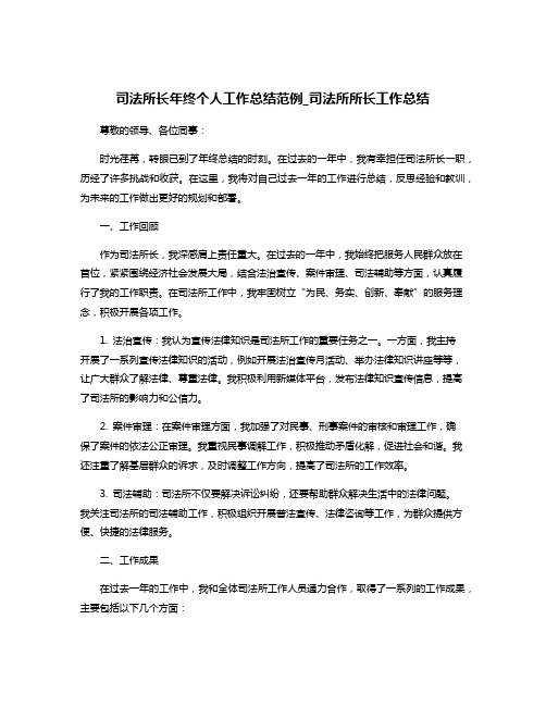 司法所长年终个人工作总结范例_司法所所长工作总结