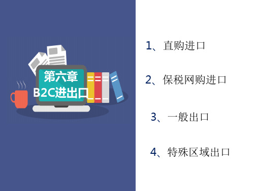 跨境通关实务PPT课件(共13单元)10跨境电商B2C