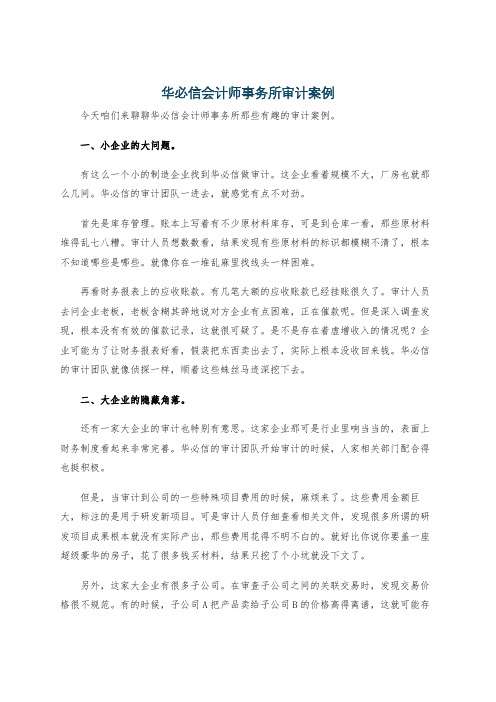 华必信会计师事务所审计案例