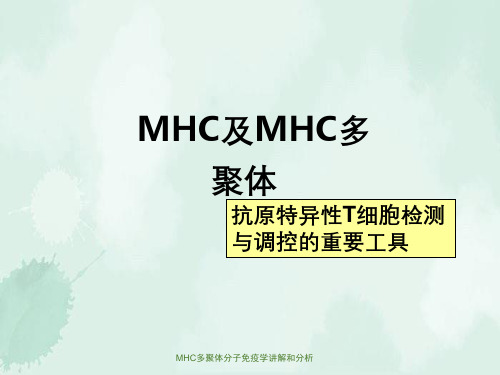 MHC多聚体分子免疫学讲解和分析