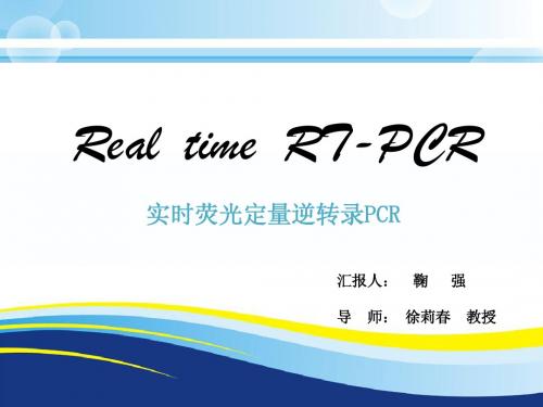 real time rt-pcr