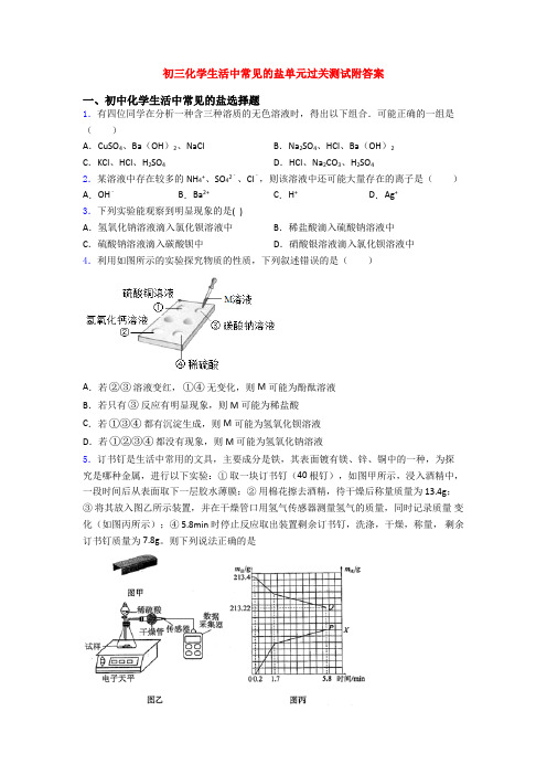 初三化学生活中常见的盐单元过关测试附答案