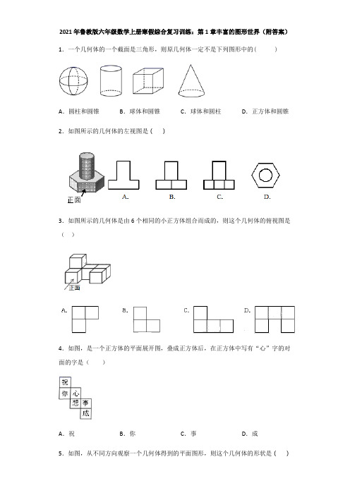 2021年鲁教版六年级数学上册寒假综合复习训练：第1章丰富的图形世界(附答案)