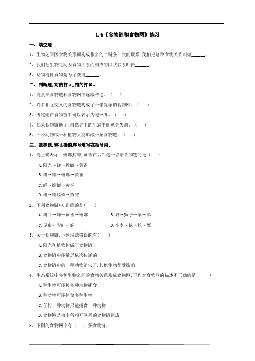 教科版五年级科学下册《食物链和食物网》练习(含答案)